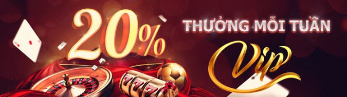 uu dai thanh vien vip